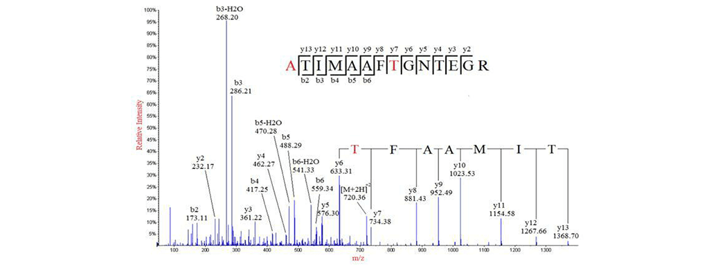 Article image of: Improved De Novo Peptides/Protein Sequencing Service