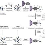 Article image of: GST-Pull Down Technology