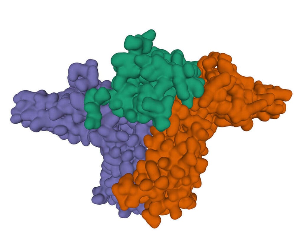 Article image of: Aid in Drug Action Mechanism Research