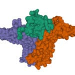 Article image of: Aid in Drug Action Mechanism Research