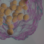 Article image of: Microbial Untargeted Lipidomics Service