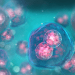 Article image of: Oncology Multi-omics Platform for Basic Oncology Research