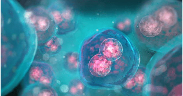 Article image of: Oncology Multi-omics Platform for Basic Oncology Research