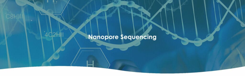 Article image of: Nanopore Sequencing to Facilitate Microbial Research