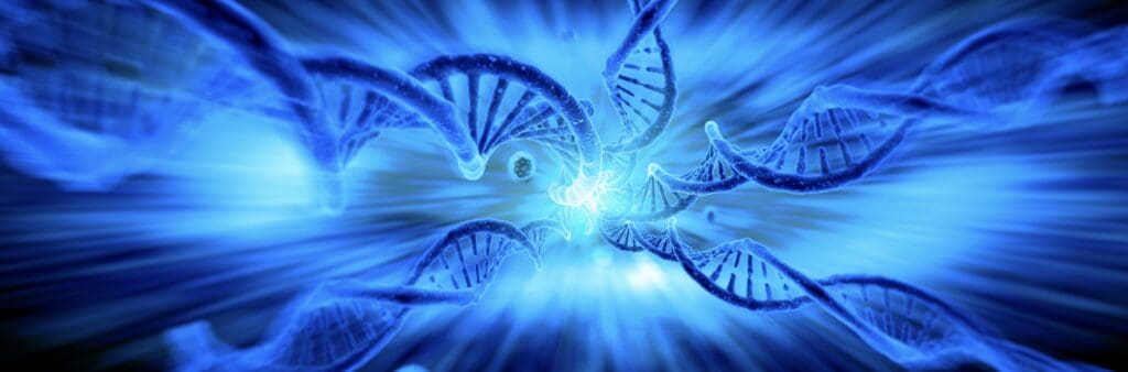 Article image of: Detailed Introduction to Common Enzymes Used in Gene Cloning