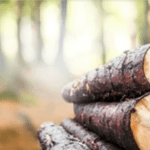 Article image of: Easy, Fast and Efficient Wood Testing