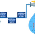 Article image of: Drinking Water Disinfection Byproducts Standards for Water Safety Research