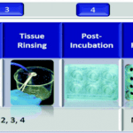 Article image of: Medical Device Irritation Testing Service