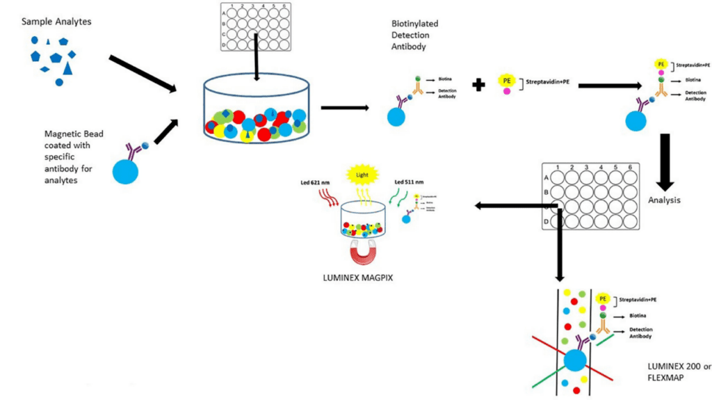 Article image of: Luminex Multiplex Assay