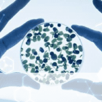 Article image of: Short-Chain Fatty Acid Analysis to Aid Gut Microbiota Research