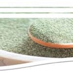 Article image of: Microalgae Powder and Related Natural Extract Production