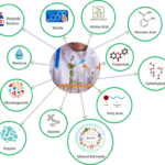 Article image of: Lifeasible Released an Exclusive Qualitative and Quantitative Pollen Composition Analysis Service