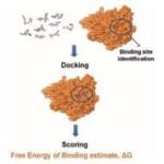 Article image of: Profacgen Enhanced Its Structure-based Virtual Screening (SBVS) Service Recently