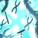 Article image of: Plants Activate ‘Wartime’ Protein Production to Fight Invasion