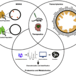 Article image of: Mitochondrial Proteins