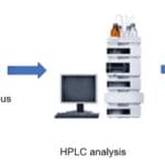 Article image of: Function and Detection of Bile Acids
