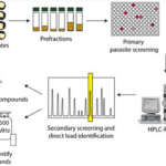 Article image of: Unknown Metabolite Identification Services