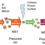 Article image of: Oligonucleotide Characterization Service