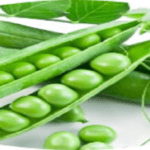 Article image of: Extracted Peptides