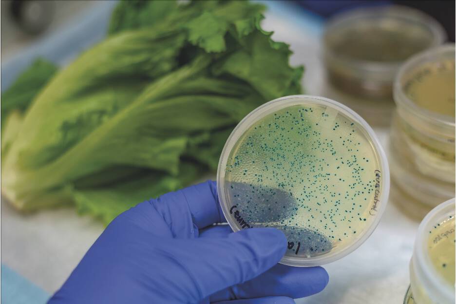 Article image of: Nieuwe norm E. coli in drinkwater