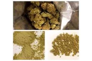 Article image of: Monstervoorbereiding van Cannabis