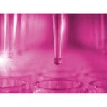 Article image of: Glanzend over op GLIMS 9