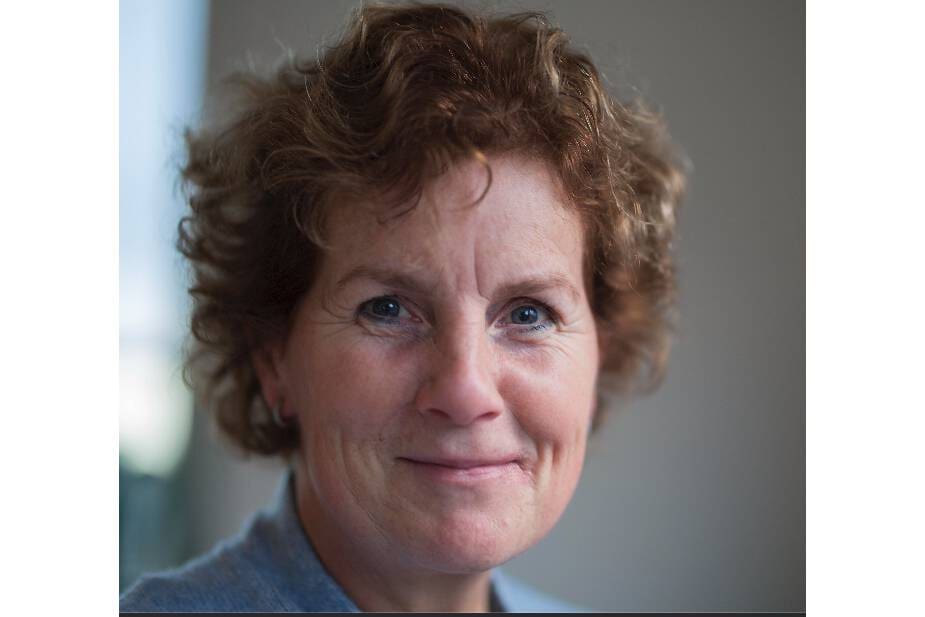 Article image of: Het was lastig thuiswerken voor de analist in dit coronajaar