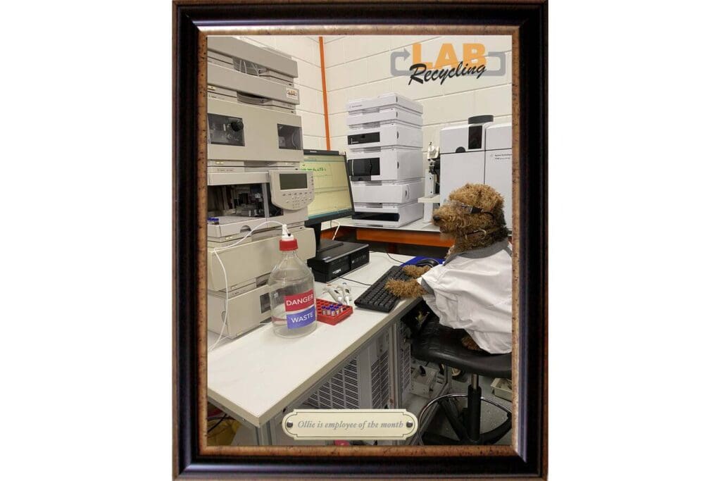 Article image of: Ollie`s meeloopstage bij Labrecycling