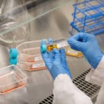 Article image of: Betrouwbare en geautomatiseerde tracering van stalen in de histologie