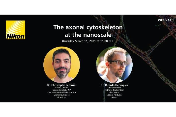 Article image of: March 11, Webinar: The Axonal Cytoskeleton at the nanoscale