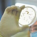 Article image of: Bioburden and Sterility Testing for Medical Devices