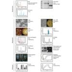 Article image of: Comprehensive Characterization Methods for VLPs