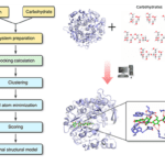 Article image of: Protein–Carbohydrate Docking Service Now Available