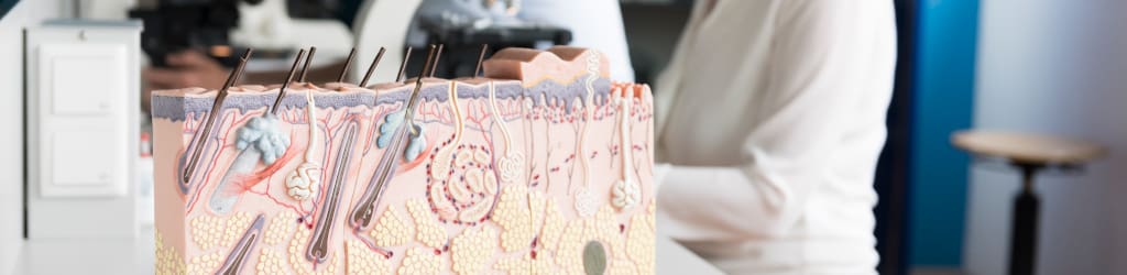 Header visual of : Pathologie