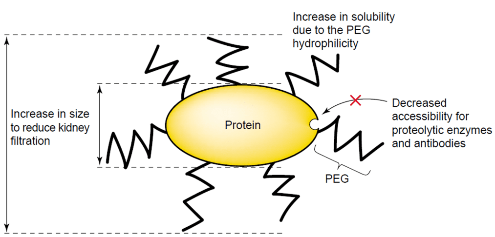 peggoyl