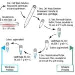 Article image of: Updated Protein Extraction Services
