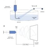 Article image of: Spinning Technique for Plant-Based Meat Now Available at Lifeasible
