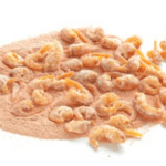 Article image of: Animal-free Chitosan for Worldwide Researchers