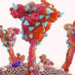 Article image of: Cutting-Edge DNA Pull Down Service