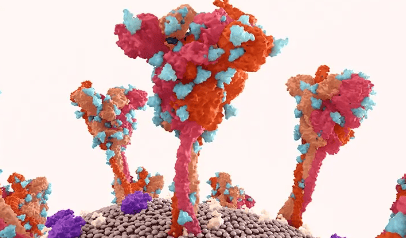 Article image of: Cutting-Edge DNA Pull Down Service