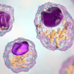 Article image of: Proteomics Services Expanded with Launch of N-Terminal Edman Degradation Service