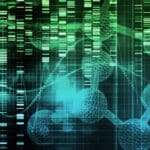 Article image of: Decoding the Language of Proteins: Insights from Molecular Dynamics Simulation