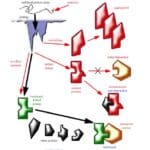 Article image of: Protein Evolution Service Updated