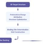 Article image of: The Power of Computational Biology with Innovative Virtual Screening Service