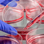 Article image of: IVD Products for Laboratory Use