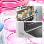 Article image of: HCP-168 multi-gas incubator van Haier Biomedical zeer effectief voor biomedisch onderzoek