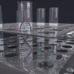 Article image of: Digitale PCR: absoluut kwantitatief DNA meten