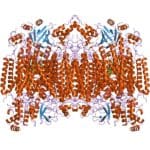 Article image of: Zijstap uit je lab – cursus Bio-informatica voor beginners