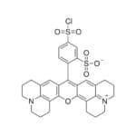 Article image of: Characteristics and Applications of Texas Red Fluorescent Dyes