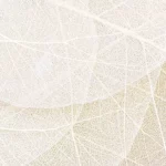 Article image of: Chitin And Chitosan Fibers